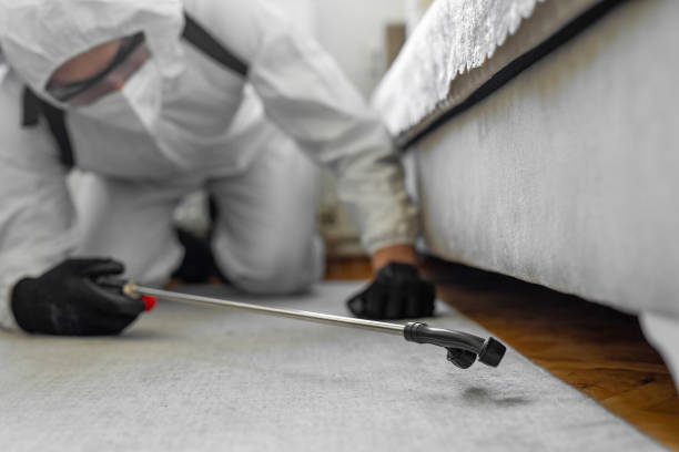 Professional Mosquito Control technician working in Lakeland South, WA