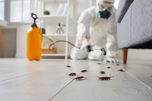 Trusted Fumigation Services service in Lakeland South, WA - Nex Pest Control